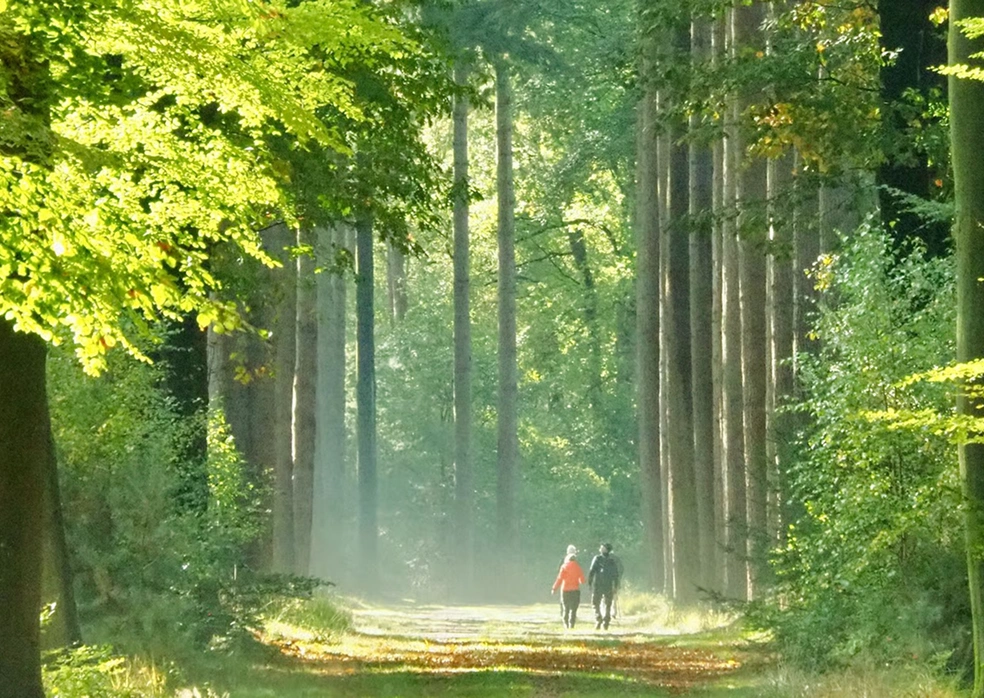 Ontdek Bosrijk Ruighenrode